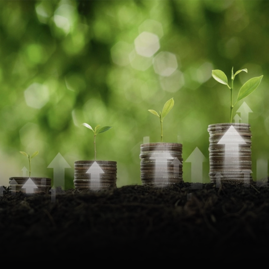 Sustainable revenue growth  Target: Rs. 8,000 Cr by FY 28-29